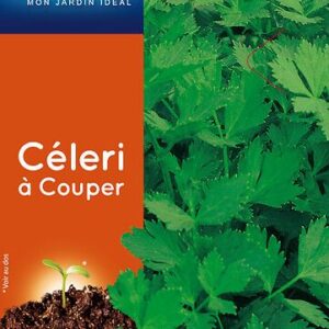 3539829806489-celeri-a-couper-commun