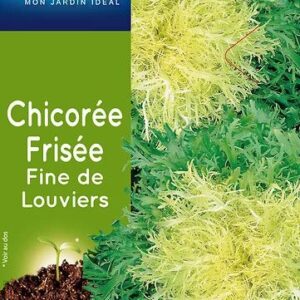 3539829804041-chicoree-frisee-fine-de-louviers