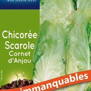 3539829804188-chicoree-scarole-cornet-danjou