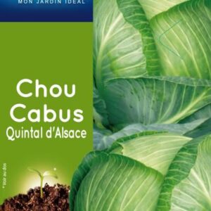 3539829804331-chou-cabus-quintal-dalsace