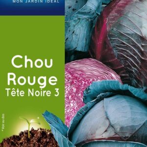 3539829804362-chou-rouge-tete-noire-3