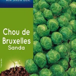 3539829804454-chou-de-bruxelles-sanda