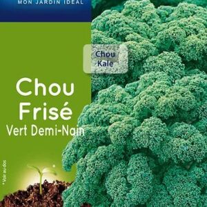 3539829804553-chou-frise-vert-demi-nain