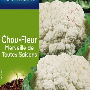 3539829804492-chou-fleur-merveille-de-toutes-saisons