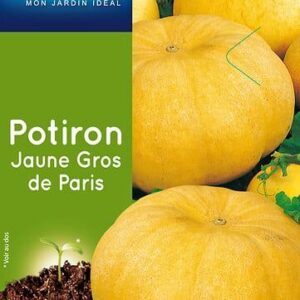 3539829805888-potiron-jaune-gros-de-paris