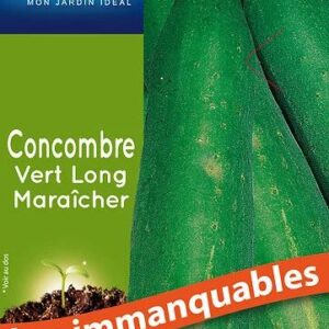 3539829804621-concombre-vert-long-maraicher