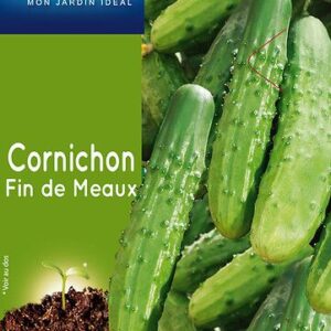 3539829804652-cornichon-fin-de-meaux