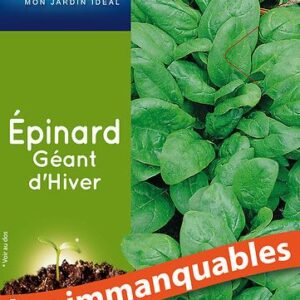 3539829804874-epinard-geant-dhiver