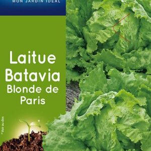 3539829805086-laitue-batavia-blonde-de-paris