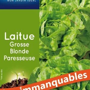 3539829804966-laitue-grosse-blonde-paresseuse