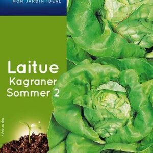 3539829804980-laitue-kagraner-sommer-2