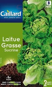 3539829805185-laitue-grasse-sucrine