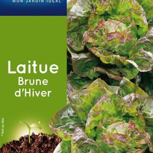 3539829805048-laitue-brune-dhiver