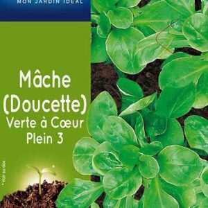 3539829805345-mache-verte-a-coeur-plein-3