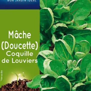 3539829805352-mache-coquille-de-louviers