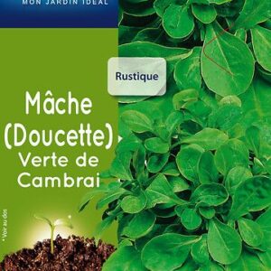 3539829805376-mache-verte-de-cambrai
