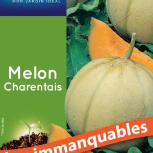 3539829805420-melon-charentais