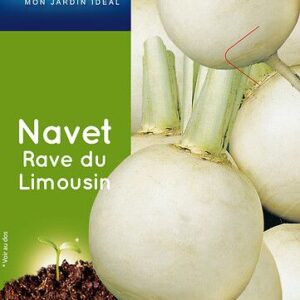 3539829805567-navet-rave-du--limousin