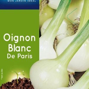 3539829805611-oignon-blanc-de-paris