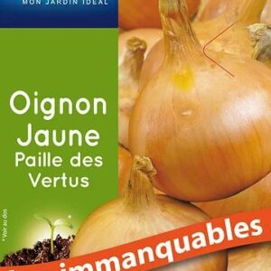 3539829805635-oignon-jaune-paille-des-vertus