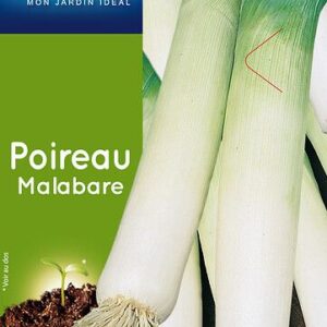 3539829805826-poireau-malabare