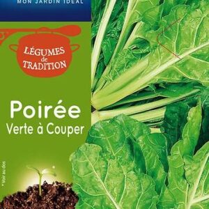 3539829805864-bette-poiree-verte-a-couper-trad