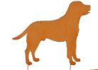 8720362130376-pique-de-jardin-chien-rouille----l54xh56cm