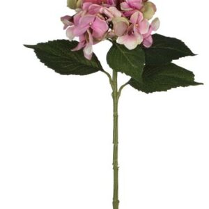 8718861109481-hortensia-rose---l51cm