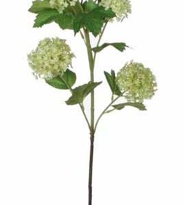 8718861265040-viburnum-vert---66cm