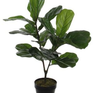 8718861388312-ficus-lyrata-artificiel-en-pot---h75cm