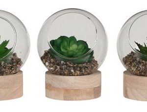 8718861645590-succulentes-artificielles-dans-un-verre-sur-assiette-en-bois---h10xd10cm
