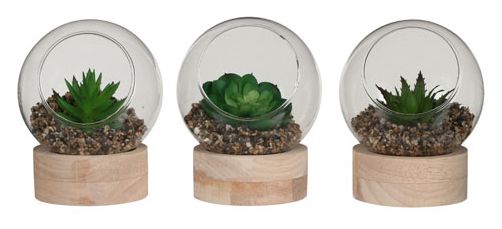 8718861645590-succulentes-artificielles-dans-un-verre-sur-assiette-en-bois---h10xd10cm