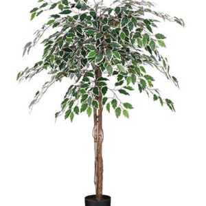 8720362207931-ficus-artificiel-en-pot-vert-panache---h150-x-d50cm