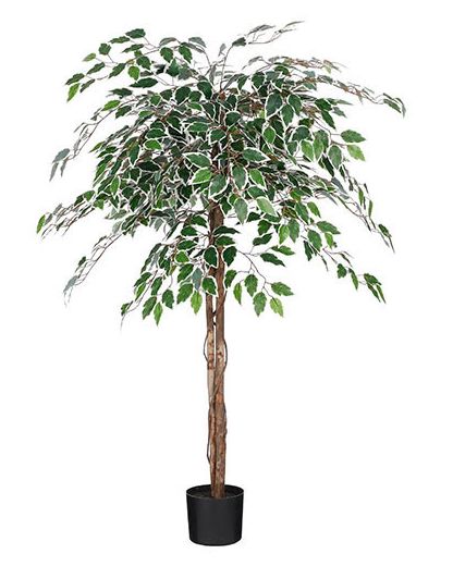 8720362207931-ficus-artificiel-en-pot-vert-panache---h150-x-d50cm