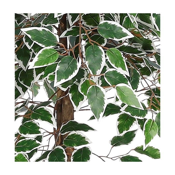 8720362207931-ficus-artificiel-en-pot-vert-panache---h150-x-d50cm