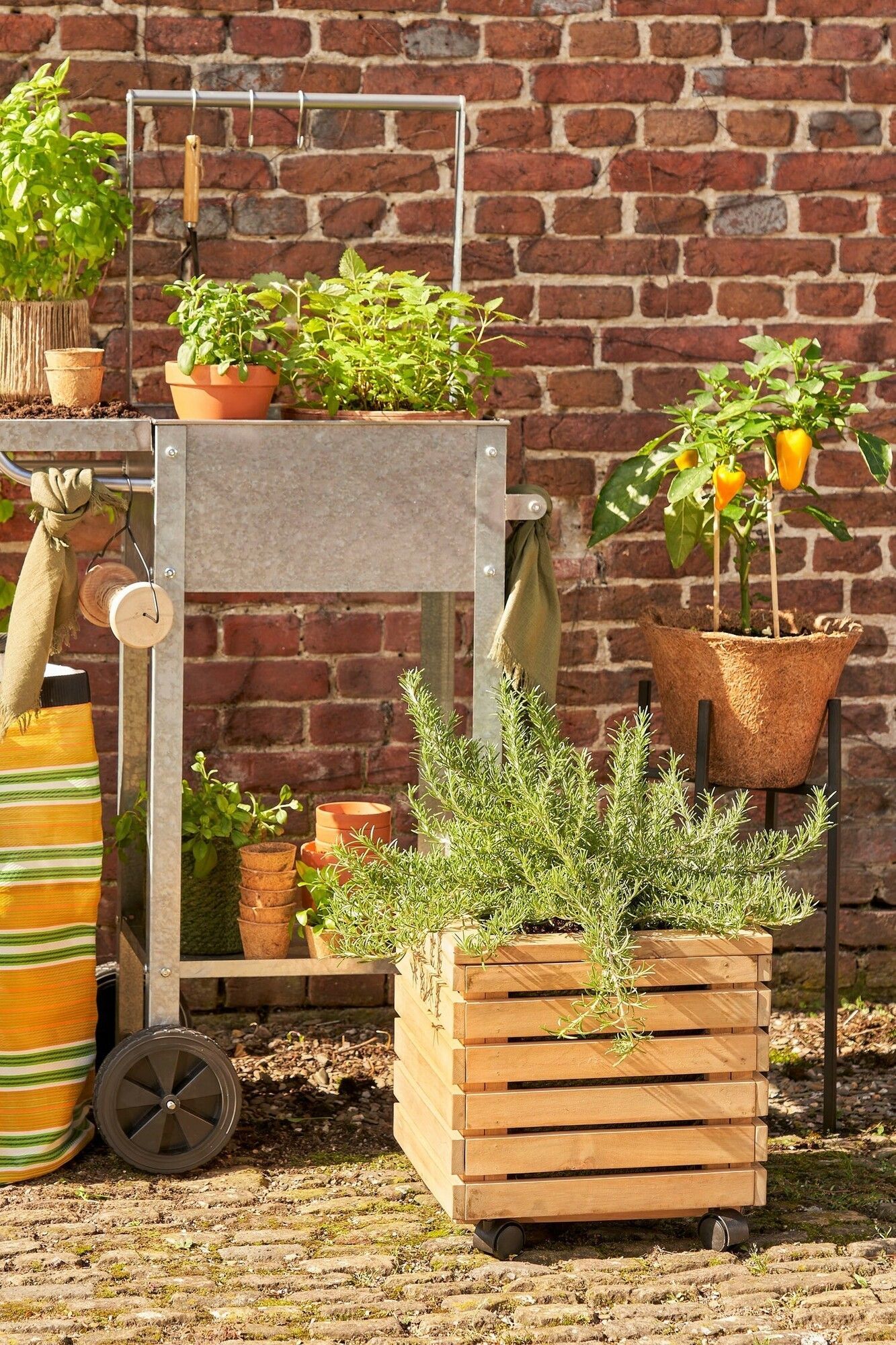 8720362658405-glenwood-carre-marron-en-bois-sur-roues---l35cm-x-b35cm-x-h35cm