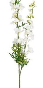 8720983044939-delphinium-creme---98cm