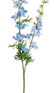 8720983044946-delphinium-bleu-cl---98cm