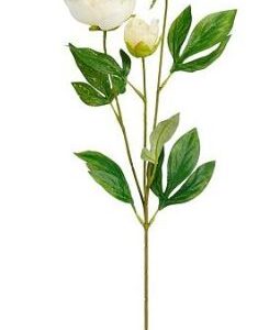 8720983044977-pivoine-creme---67cm