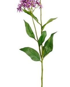 8720983044984-epidendrum-violet----75cm