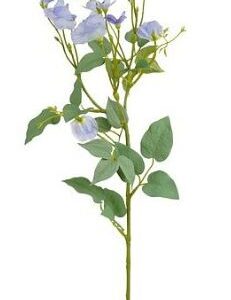 8720983044991-pois-de-senteur-bleu-cl---74cm