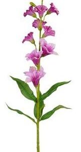 8720983045004-digitale-fuchsia---76cm