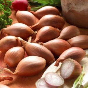 3330800001615-echalottes-griselle