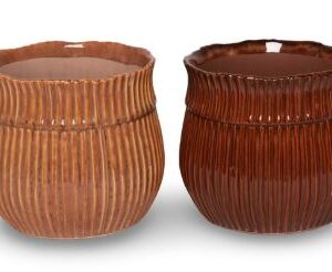 5415106283014-pot-renee-11x85