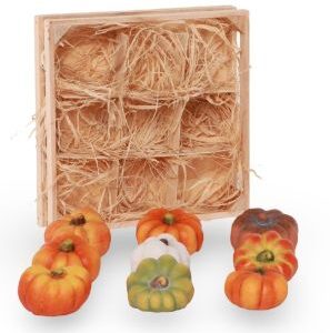 5415106280068-citrouille-5x6