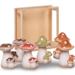 5415106280075-champignon-7x8