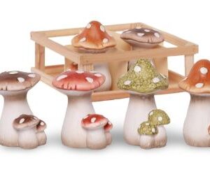 5415106280082-champignon-12x7