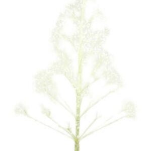 5415106272391-arbre-pigalle-150-goud