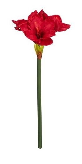 8720983358081-amaryllis---rouge---56cm
