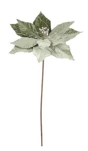 8720983300240-poinsettia-sur-branche---vert---65cm